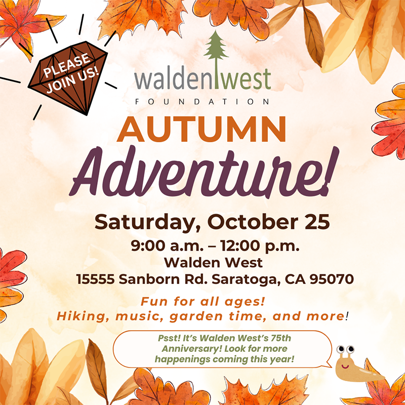 Autumn Adventure 2025